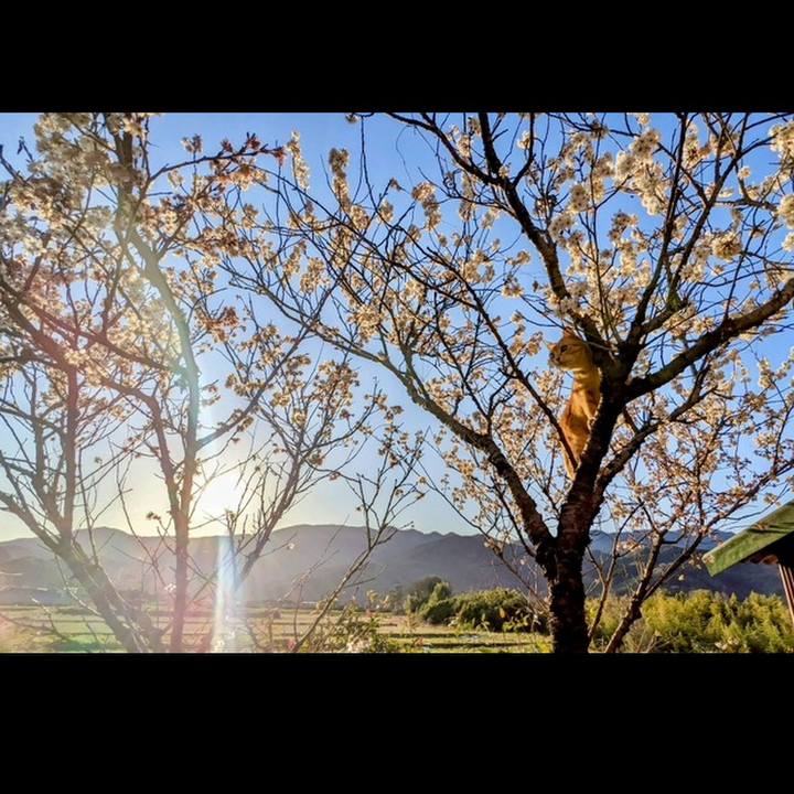 2bb5648a a77d 4386 ae51 f2f64d058a87 1773480410424