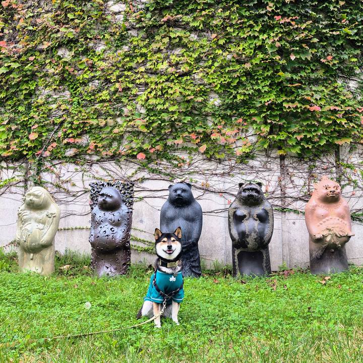 2bb5b7ab 750f 4f84 a5d5 f278fb648b61 1760189506687