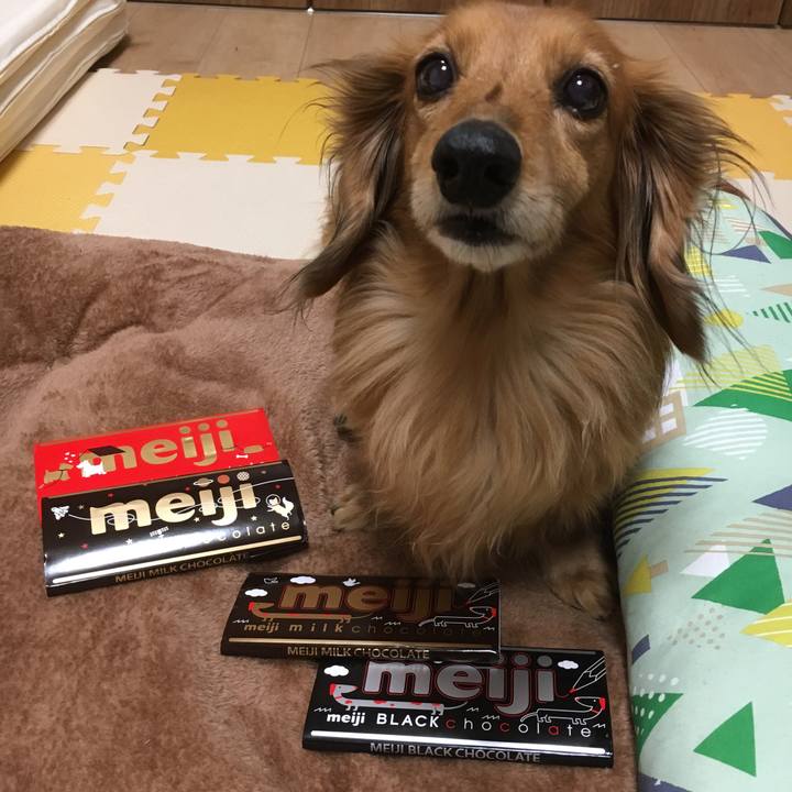 2bb5d6ec ca03 4727 ba0c 4b60dd049c61 1548855921578