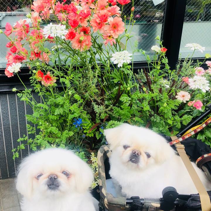 2bb5de3f 7150 4729 9193 899f19ae27a0 1617252486672