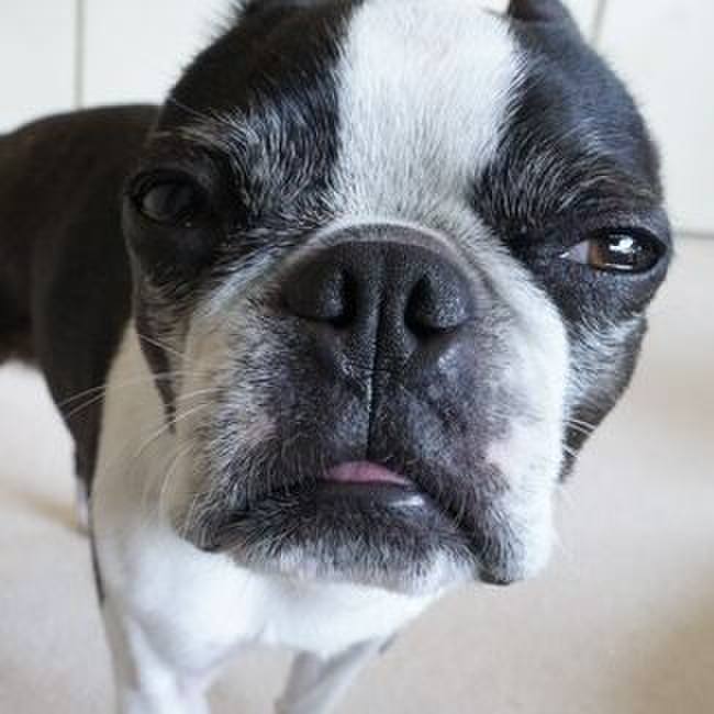 2bb5dfd9 5c6d 40f1 ac79 72b5130d528e 1523593233729