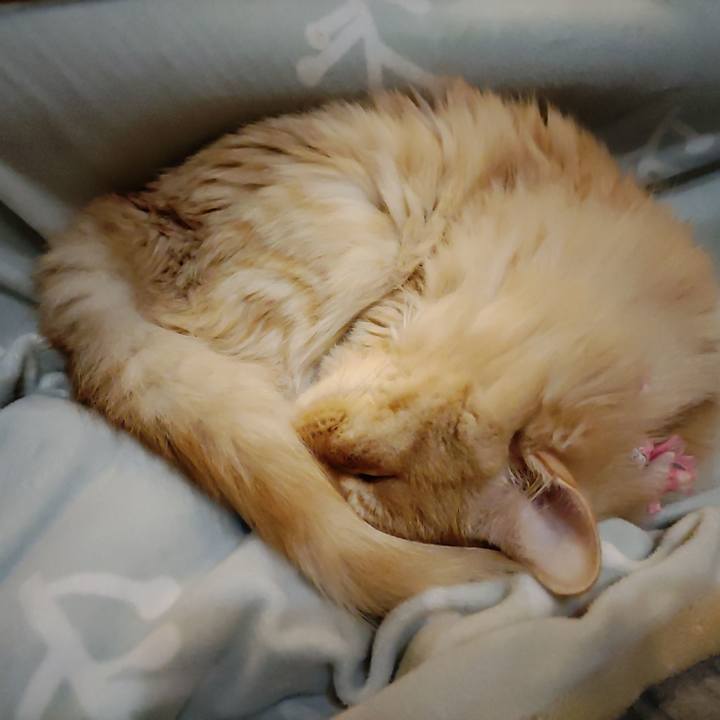 2bb633e2 c26f 4621 977a 7bfc03a5d9f4 1674122794867