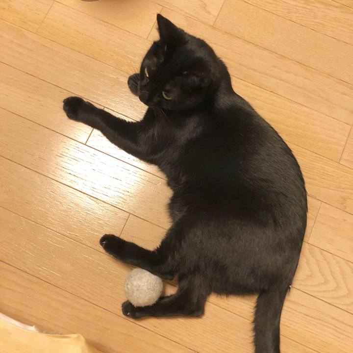 2bb64477 9692 4ef6 99d3 81f7ec0608ab 1581514365845