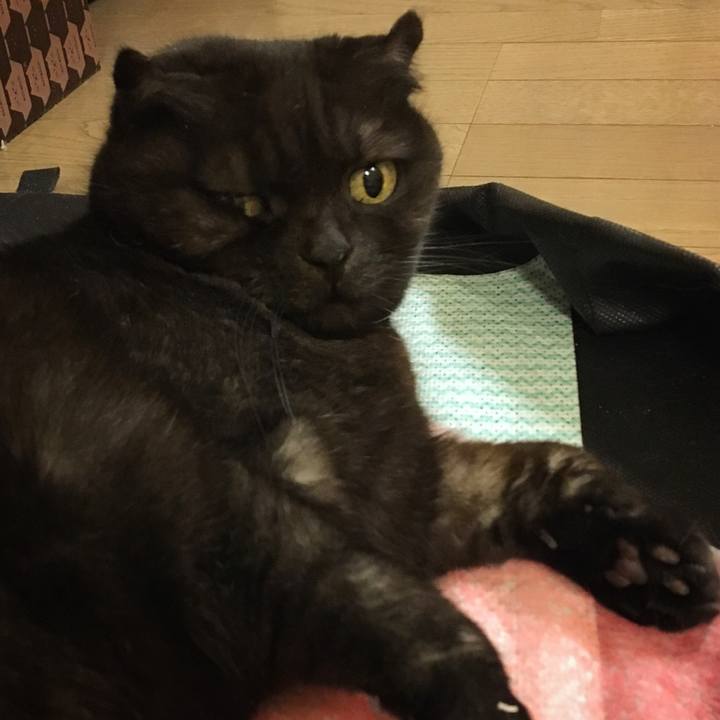 2bb65d01 adda 4d42 b1e1 cde19412f035 1516099083005