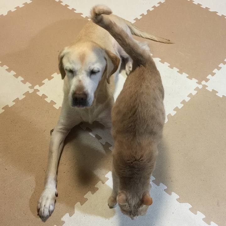 2bb660a2 8fa3 4b0c 9cc0 a2224320068b 1510698422340