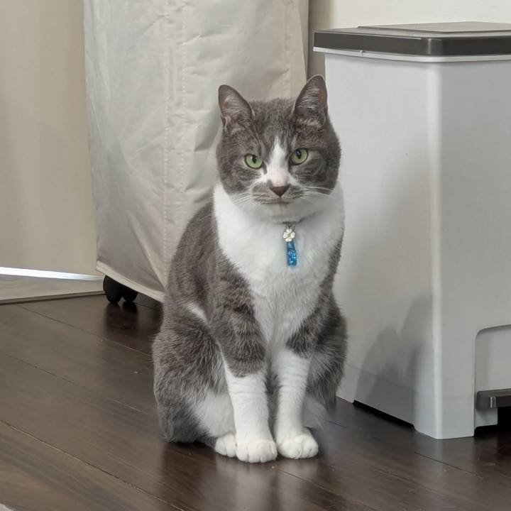 2bb68500 ad79 4358 9618 9412f6aba9b0 1750056645609