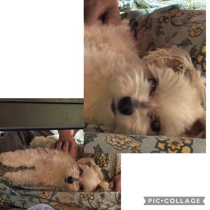 2bb68ede d326 4f51 af68 8d1ae85a7ceb 1757411636115