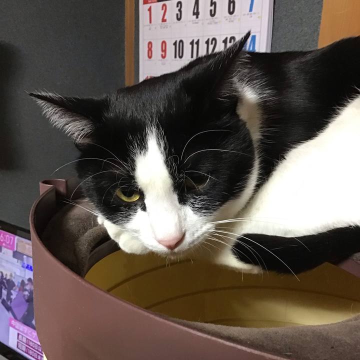 2bb69326 6f46 4142 be14 119af135fdb7 1673429644765