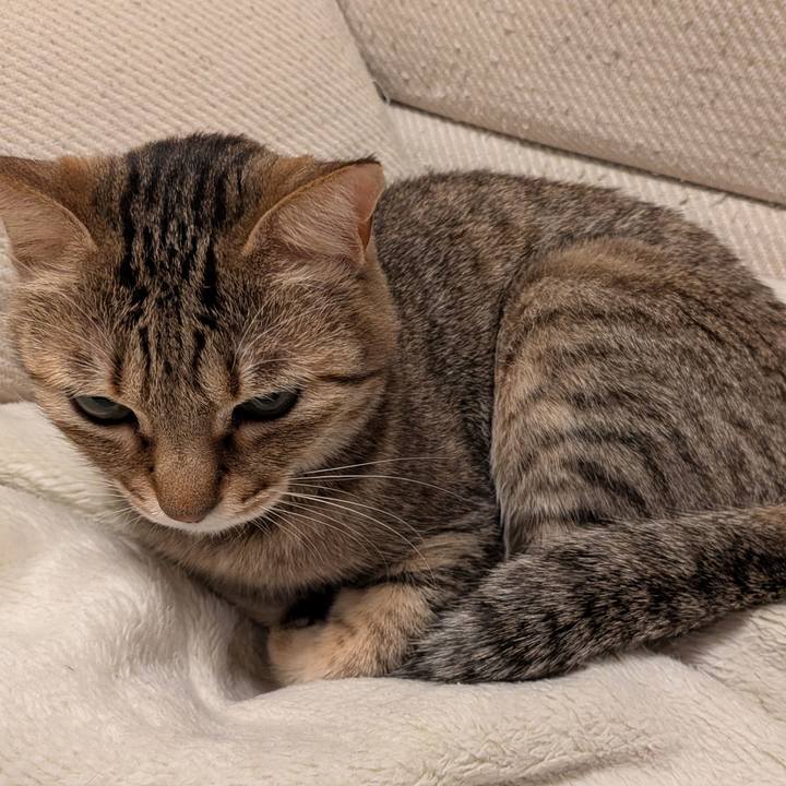 2bb6984f 3bee 45ee b6b5 84ba9c7a599b 1771626180879