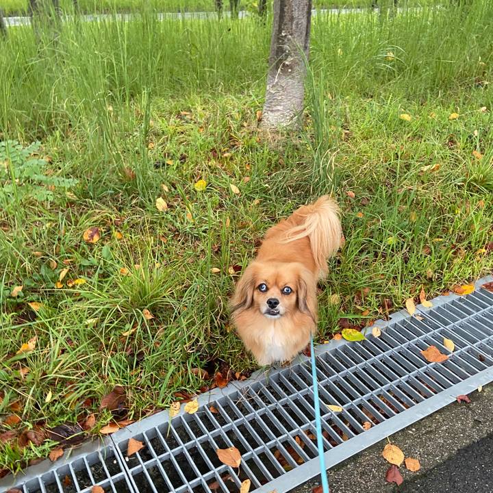 2bb6b76e 24ed 4177 96f5 7d6780ad0505 1600291987774