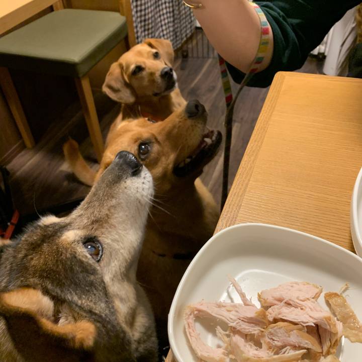 2bb6e3a5 ed03 4b5e 815b 09442e99ce15 1572094618852