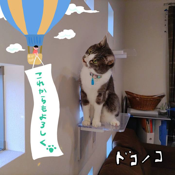 2bb72219 17a6 48a8 84a1 a91487fe1c6b 1686003525502