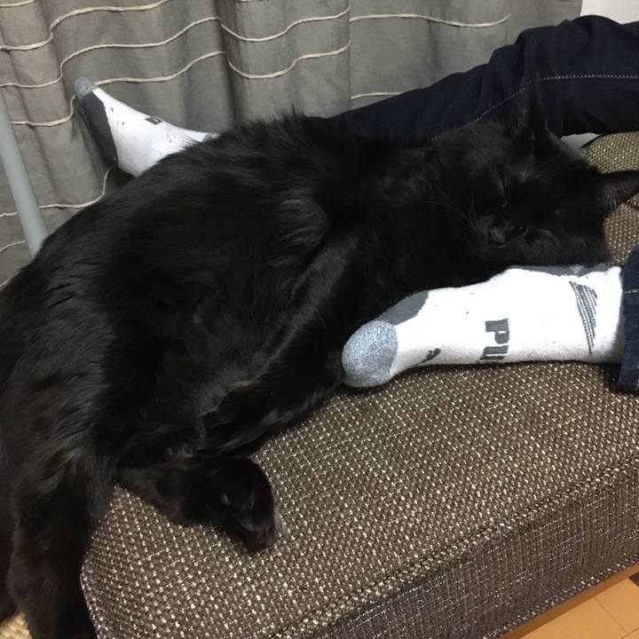 2bb74ac2 48ae 4ba6 b0e0 c65ce2dc5f81 1520505143450