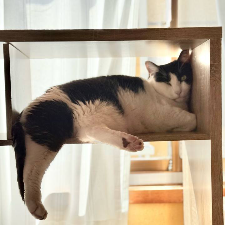 2bb76914 17b5 433c 8679 54510bfcad32 1743903989900