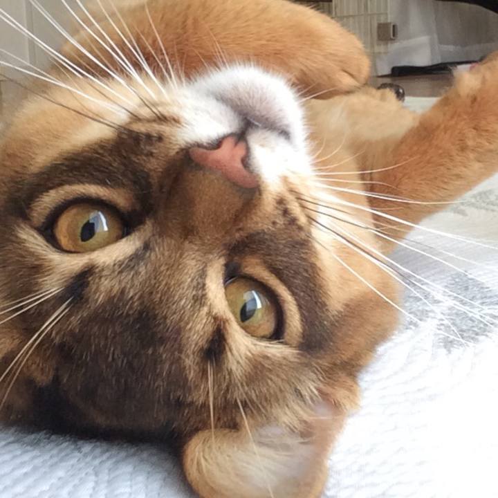 2bb76dbb a603 4d0d 8baf 4619b79be8d2 1584402179981