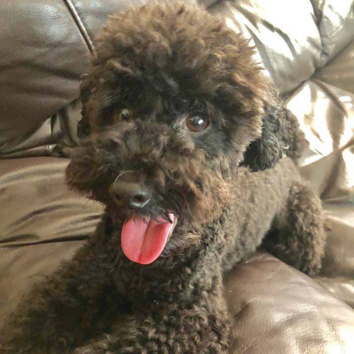 2bb7995e b65c 476f b9d5 f32f0c08c9ba 1568508715908