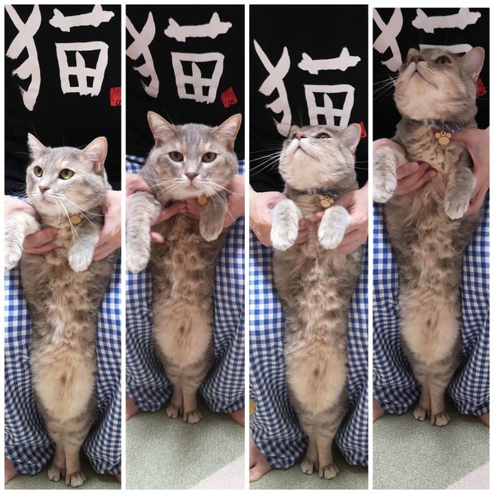 2bb79c8a 0ddd 4090 bfc5 b0807062cbe4 1592491667871