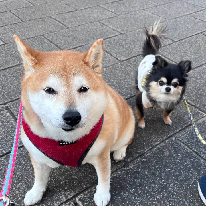 2bb79ce1 6f6e 472f 863a e28172134d28 1709537613792