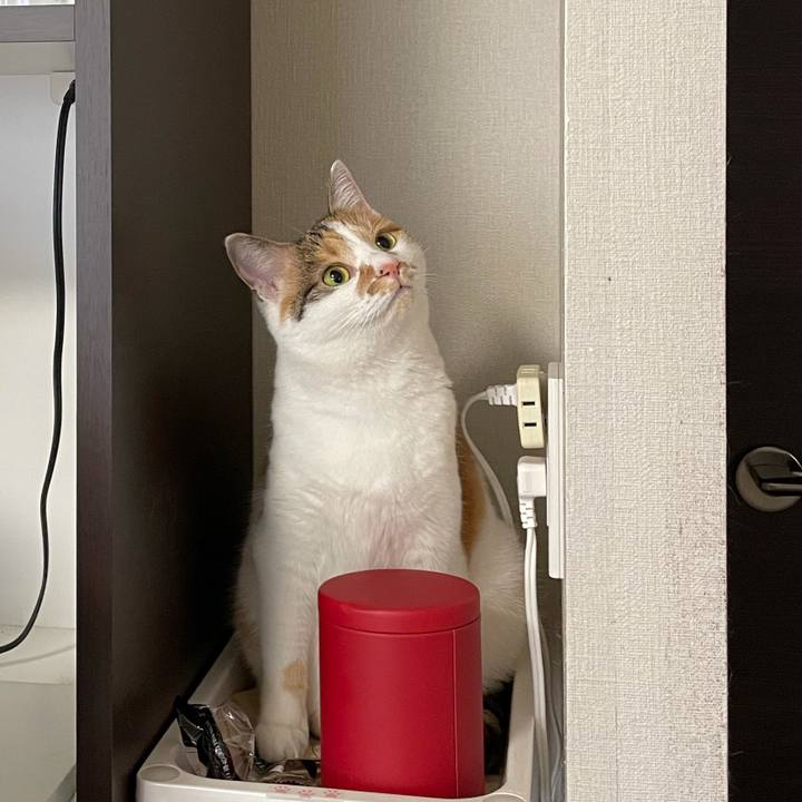 2bb7bb5a 1dfe 4dc5 95c8 b2ec0d623d5e 1609387924791