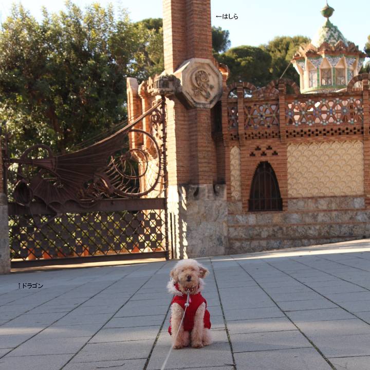 2bb7e1a1 3a26 4aec a1d9 326ab9dd518e 1516378046783