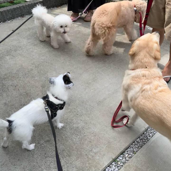 2bb7e466 cb30 4541 a9fb 319f00cea75b 1718840248234