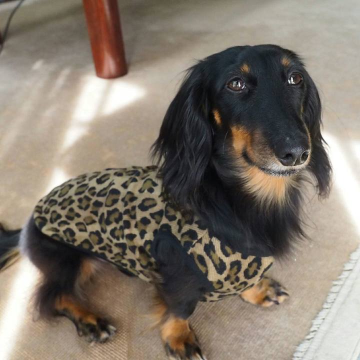 2bb7ea39 be23 4697 bf25 66b9608a7696 1508289146265