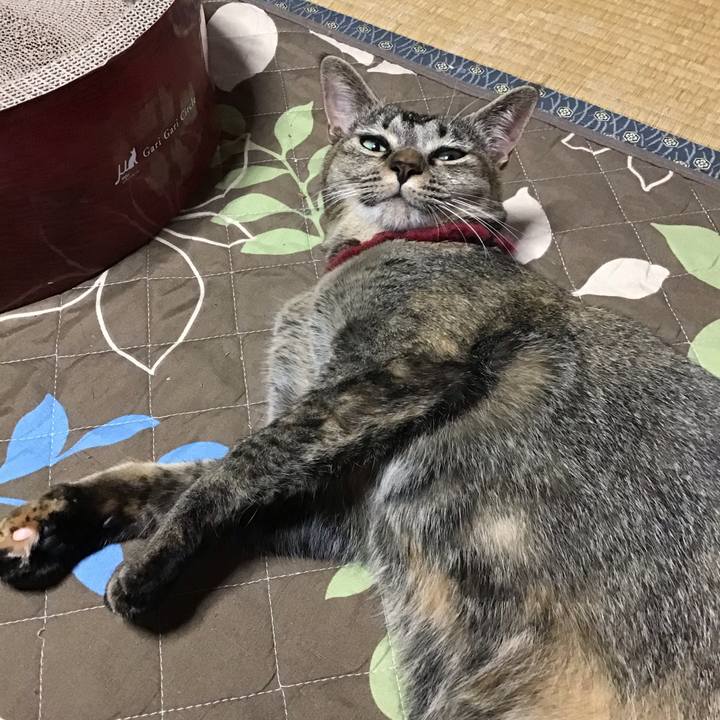 2bb7ffd0 68a0 4514 8d8e 94704861db52 1601852874521