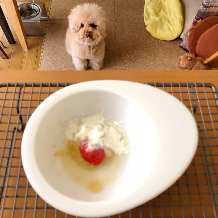 2bb861a3 c479 41d5 b8bf e65c73f3bb5d 1525573005552