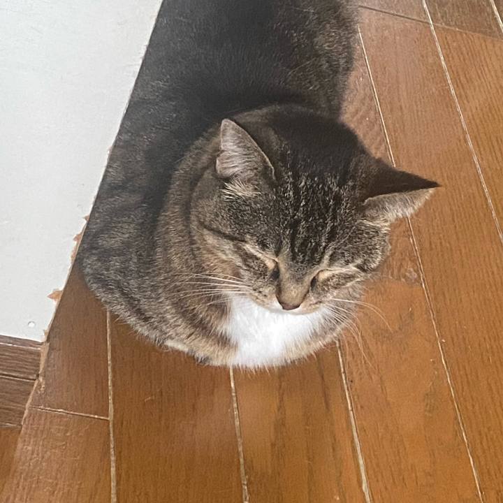 2bb87464 8e5e 4f3c a1de 6478462da351 1682853673235