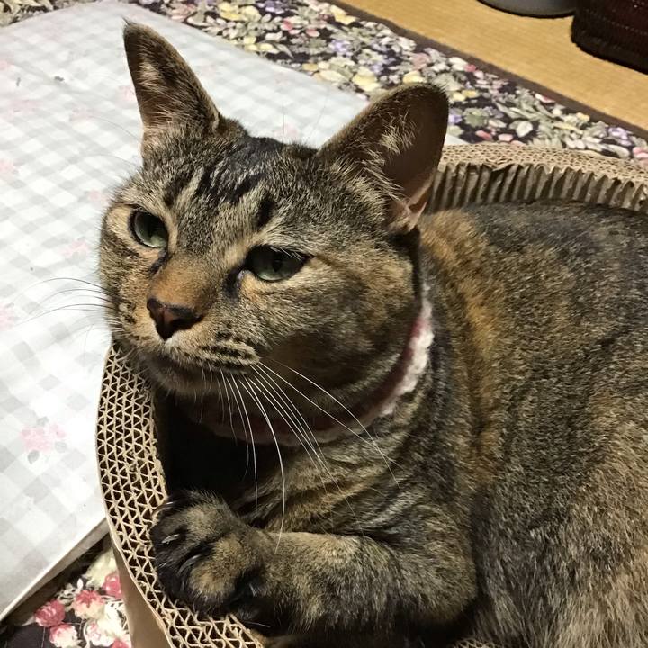 2bb8812a e7eb 41f2 b3d7 95af8a1cc990 1719919771438