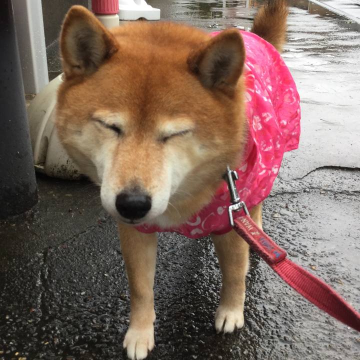 2bb8af3e 52a6 495e 869d cbaa07761469 1587354710789