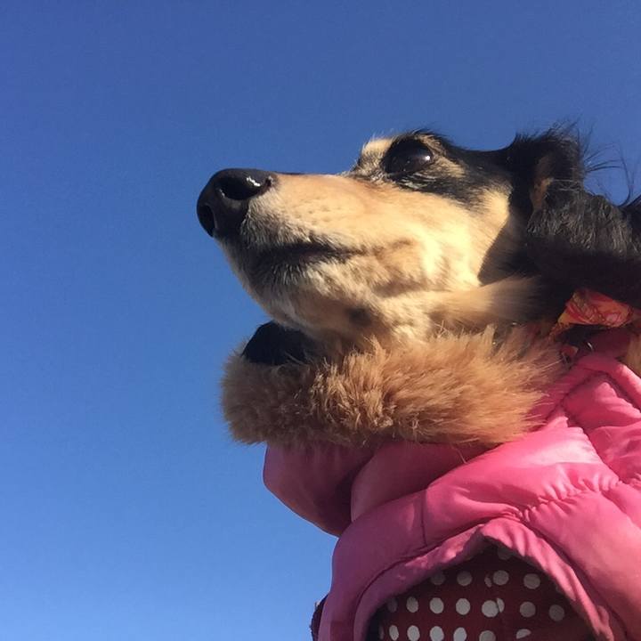 2bb8dd3e 3ecb 4b96 adcd ff09903171e6 1513902392797