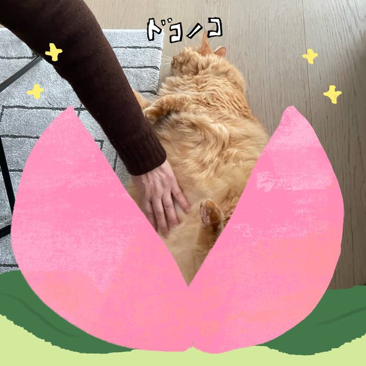 2bb8f649 fa7b 4b7f 9978 60b5c061d919 1771843005809