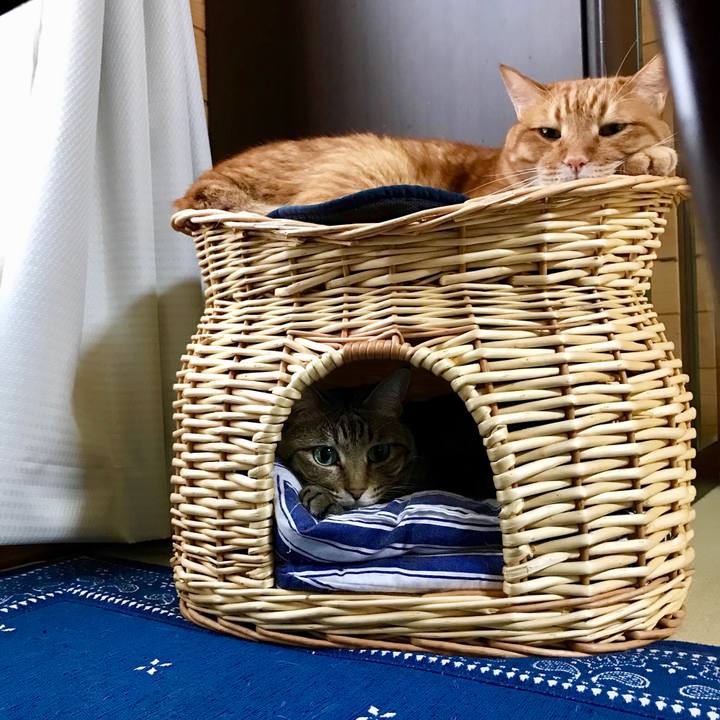 2bb91b2a ee22 4a11 8fa1 c18150c1bc59 1535871795173