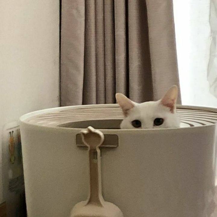 2bb96482 820e 4f29 9589 259f88d17e13 1602916585693