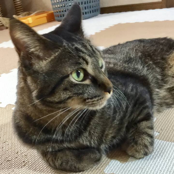 2bb9a697 0232 416d bfc6 c3c5d83be725 1517733406604