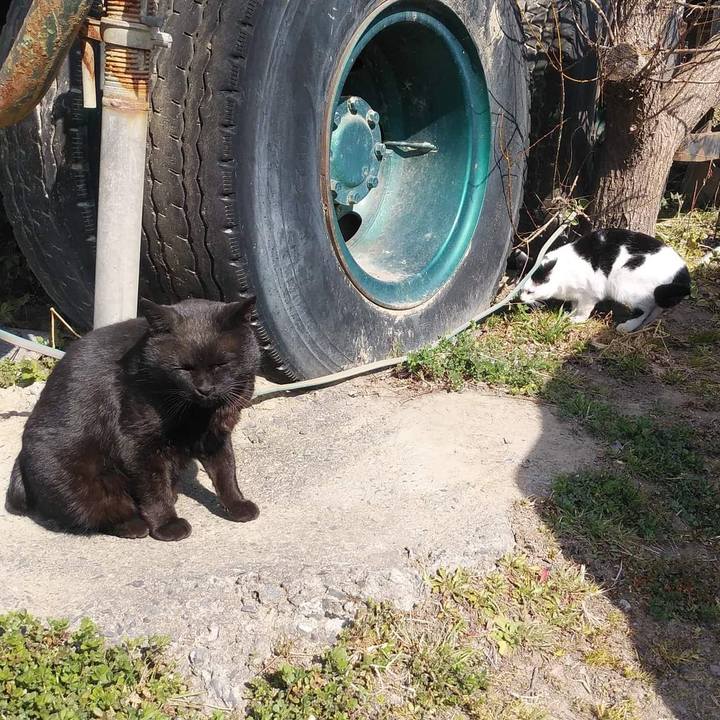 2bb9b071 f07f 4d4e a589 249e4f8f20c1 1646390573483