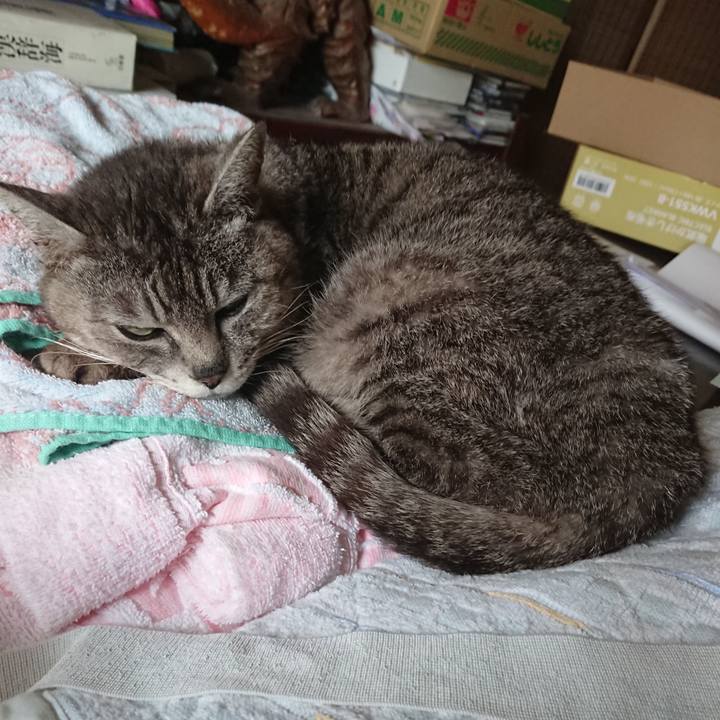 2bba17e3 67ef 4cda b462 29f1ae74e2a1 1589688415874