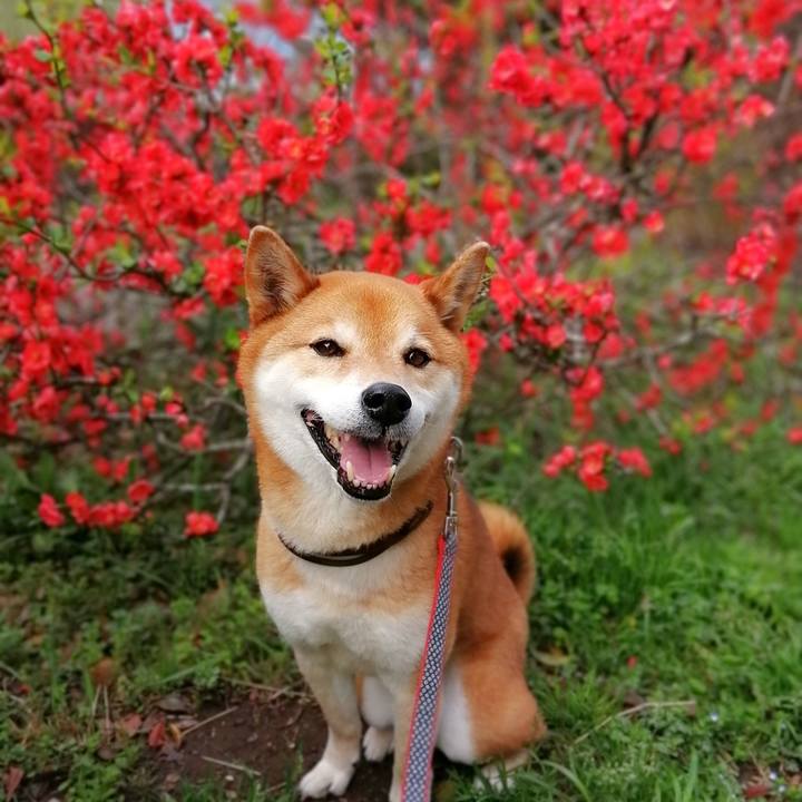 2bba36dd e577 435f a664 3ef1fac4334b 1648690380777