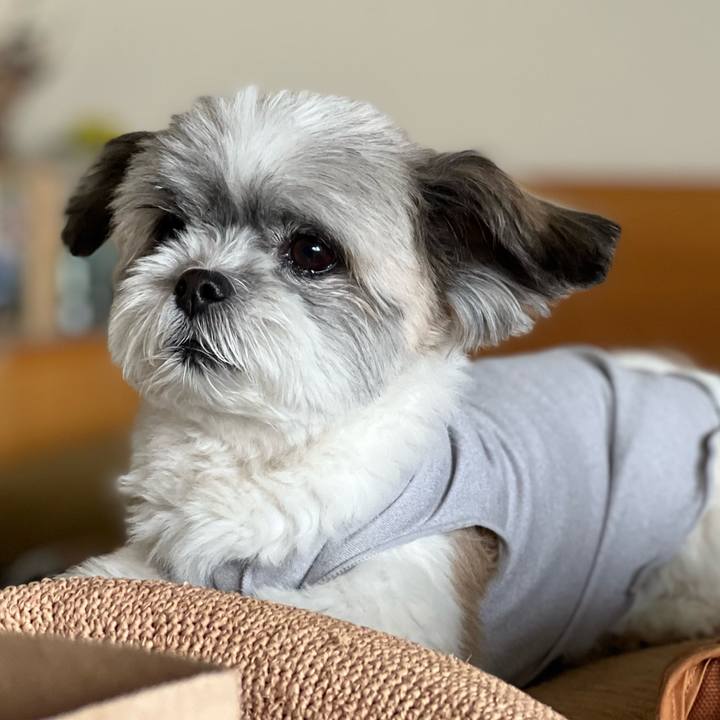 2bba57f9 3e61 4951 ba7d e373c89b43f6 1656815893264