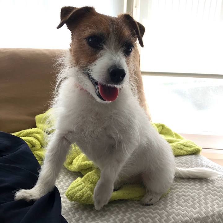 2bba76c0 73b6 4027 a6b4 7d05f17e5b4a 1620641348083