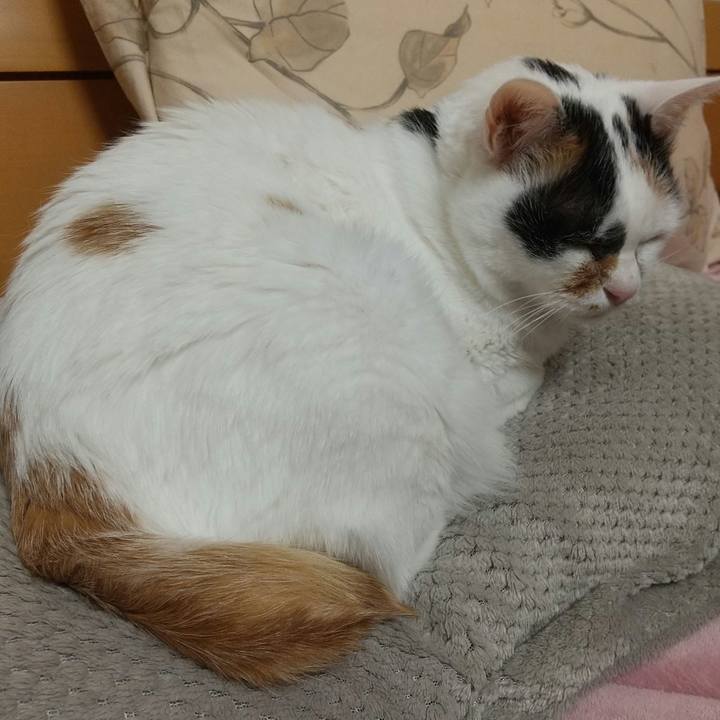 2bba7a07 a896 4d13 b155 46e593a16a6f 1648651652701