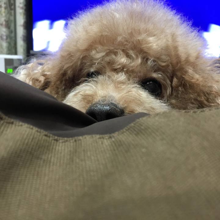 2bba8262 4b46 41c6 89e1 d8104480acab 1525610580975