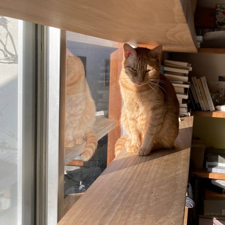 2bba9442 1f40 413f aa7e 6d56c2eba931 1667827982507