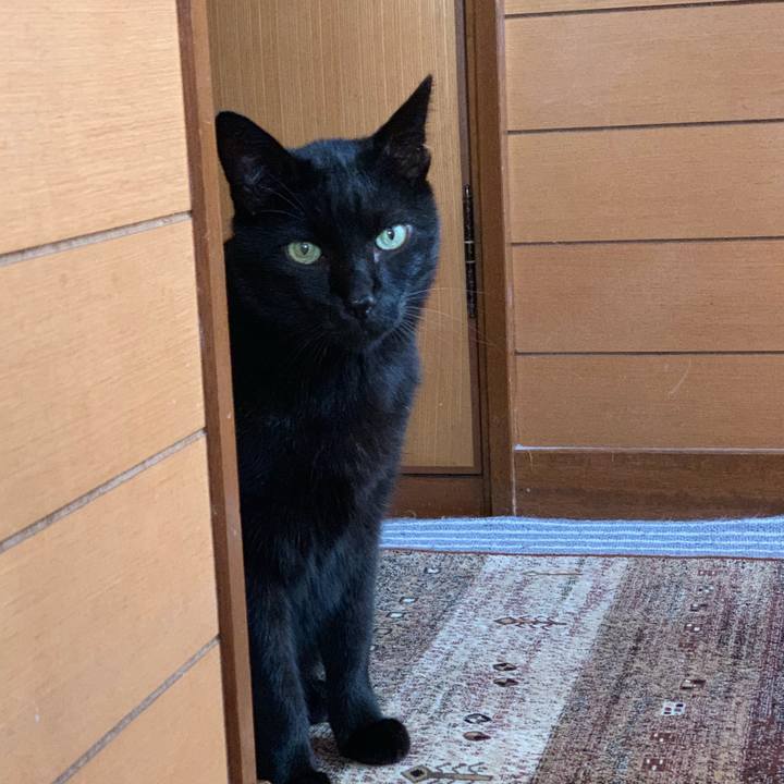 2bba9787 955d 4d64 9322 068d35b15ada 1541637971669