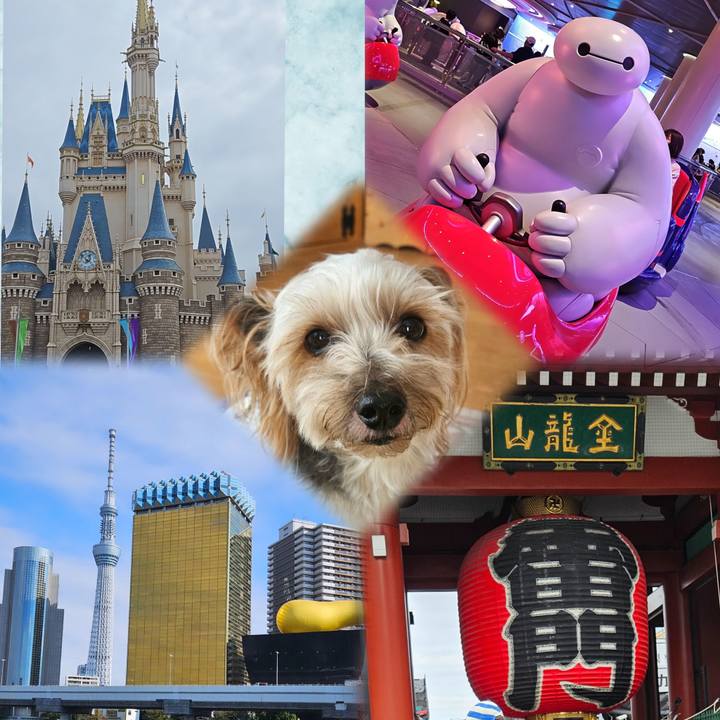 2bbaa60b 1621 4e16 ab27 911122f38e08 1731564047450