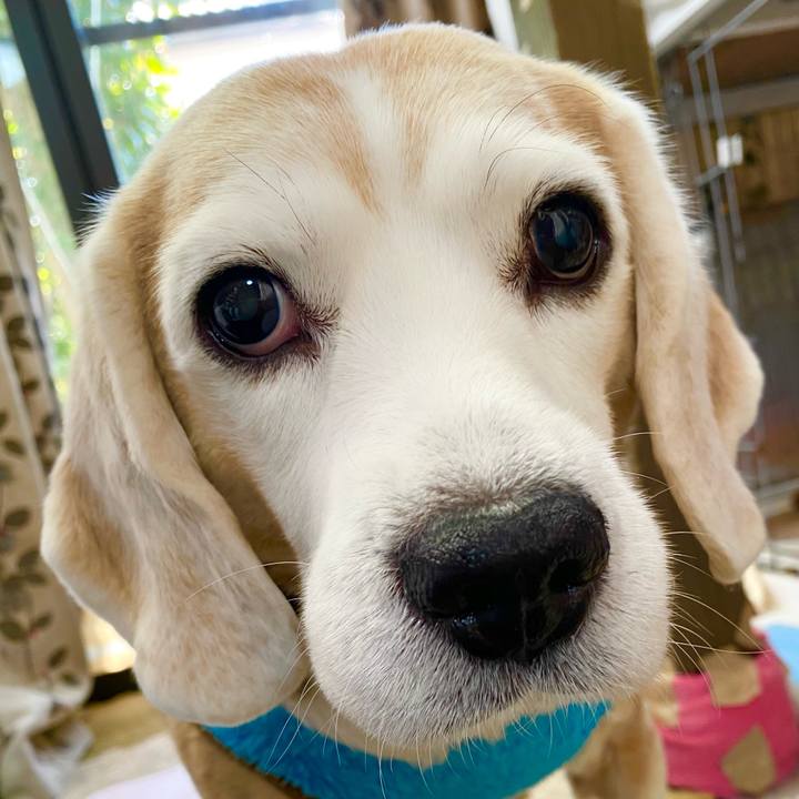 2bbac76b 88eb 443c b652 2729c43cb951 1645070786688