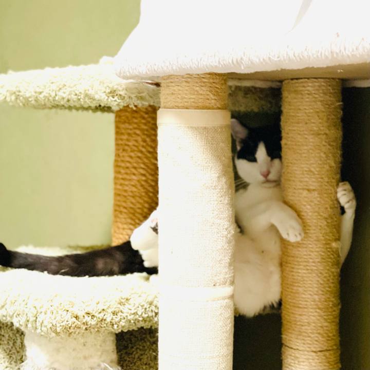 2bbac939 b02a 4f92 8a0e 54e43a8988a6 1637806281835