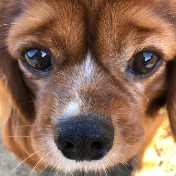 2bbae997 6ce6 48a1 b027 6f8923ffd67d 1611965401757