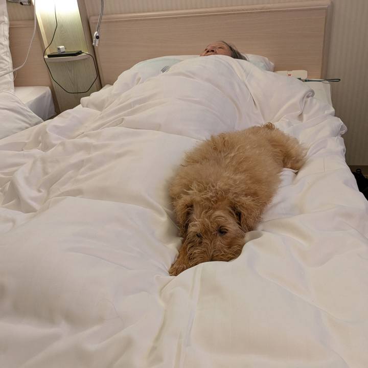 2bbaeeb9 83fa 43c3 99b5 7dd9b7671f5a 1746971185512